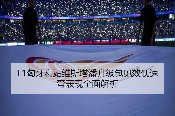 F1匈牙利站维斯塔潘升级包见效低速弯表现全面解析